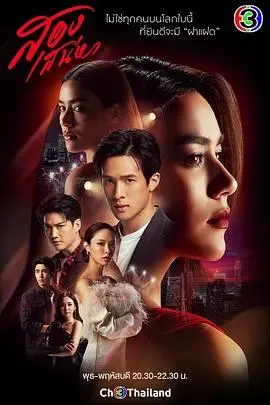 《双生花》：命运交织，悬疑丛生的双生花之谜
