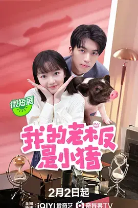 《我的老板是小猪》：职场爆笑喜剧，当萌宠遇上霸道总裁！